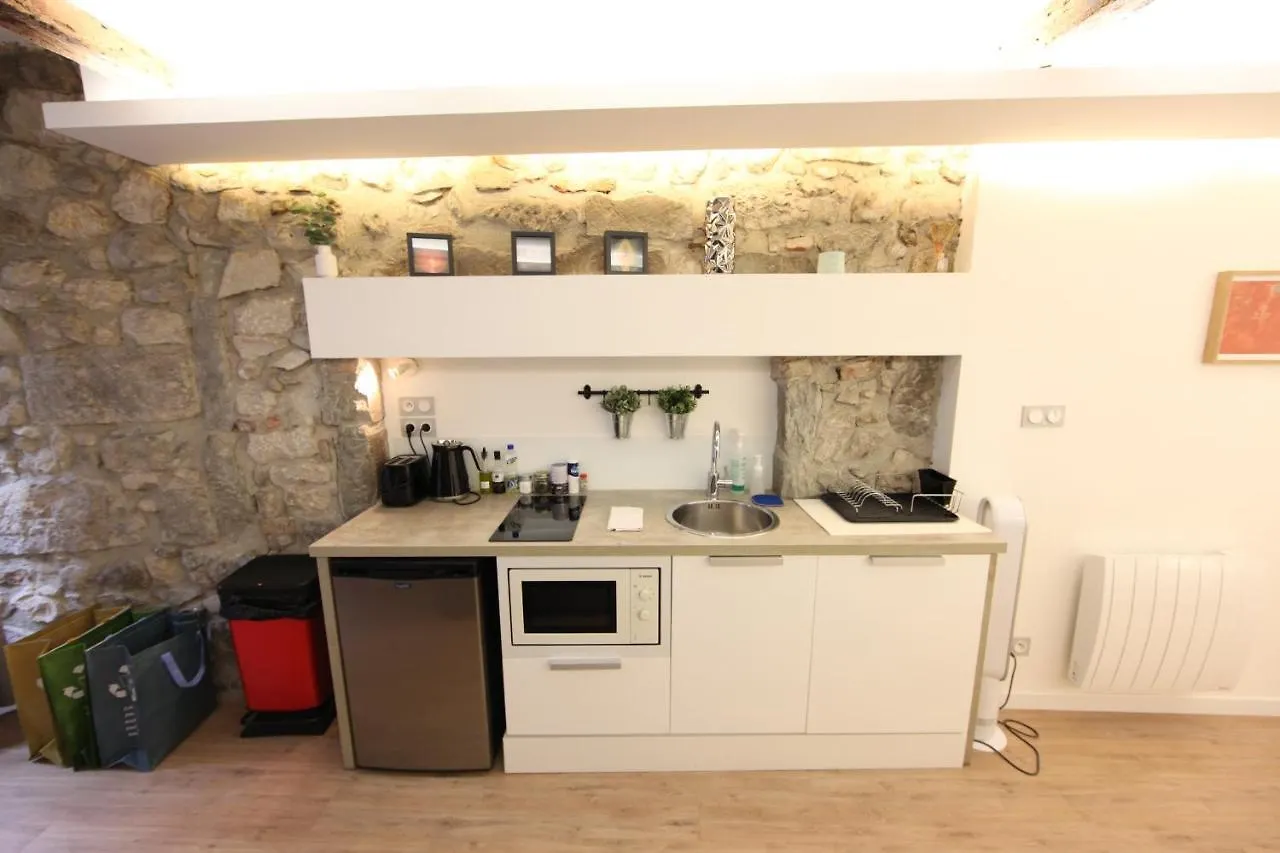 Apartment Homebuddy' - Le Cosy Centre Ville Annecy France